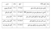 سلسله کارگاه های توانمندسازی شرکت های فناور تحت پوشش مرکز رشد فناوری سلامت